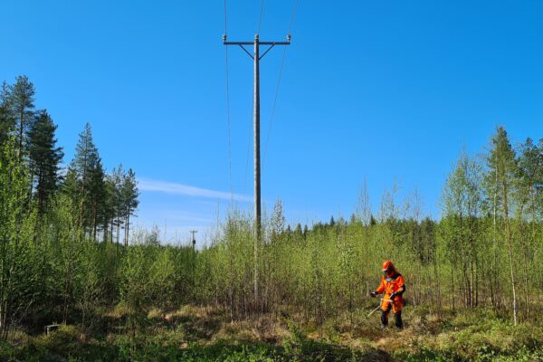 Metsuri raivaa pensaita sähkölinjan alapuolella