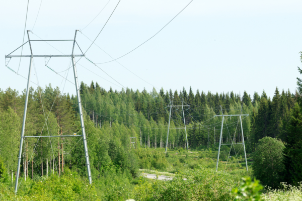 Suurjänniteverkko metsämaisemassa