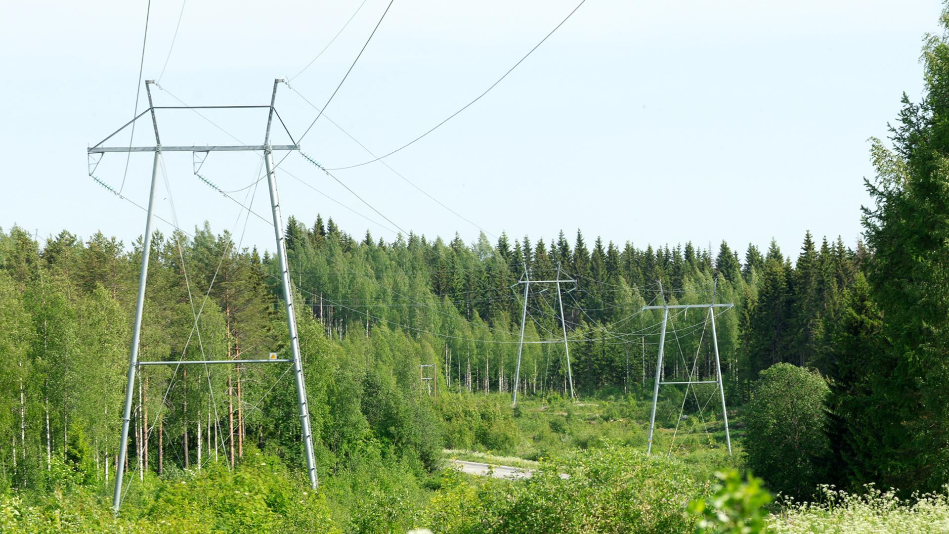 Suurjänniteverkko metsämaisemassa